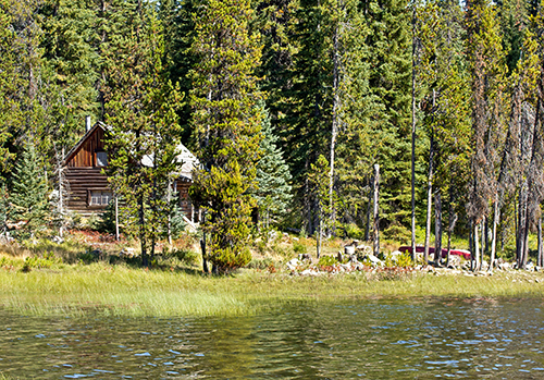 A quiet lake cabin surrounded by nature.