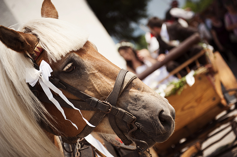 Golden Carriage