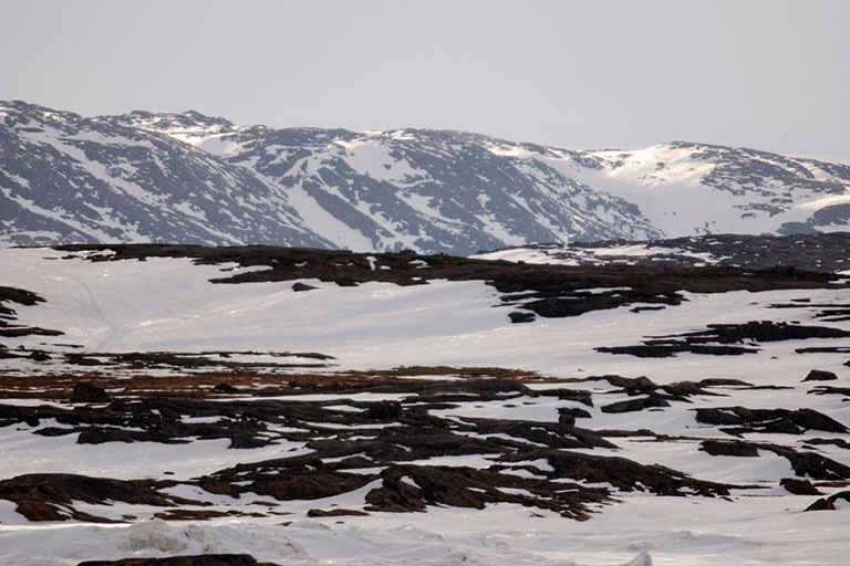 Snowy Tundra