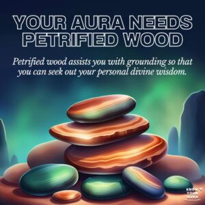 Find The Right Crystal For You! Your Aura Needs Petrified Wood