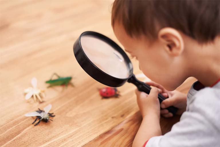 Find Bugs