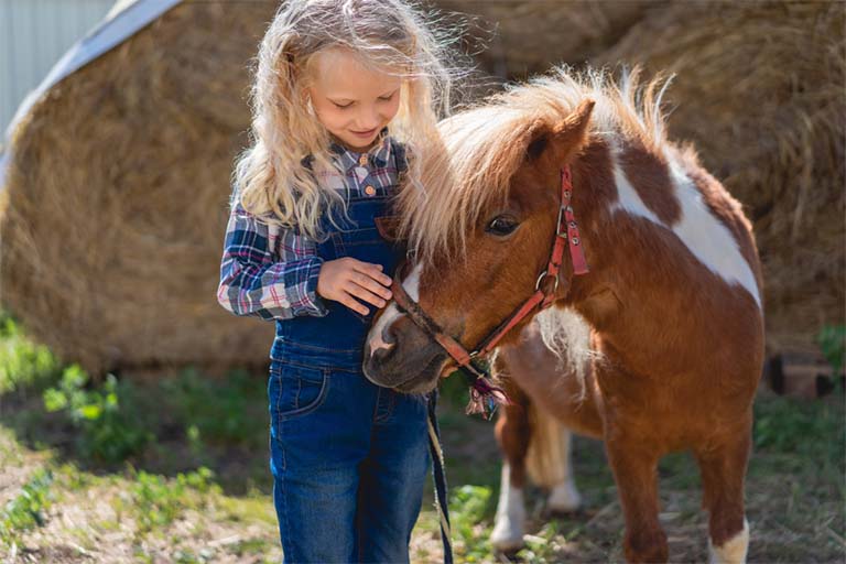 Pony
